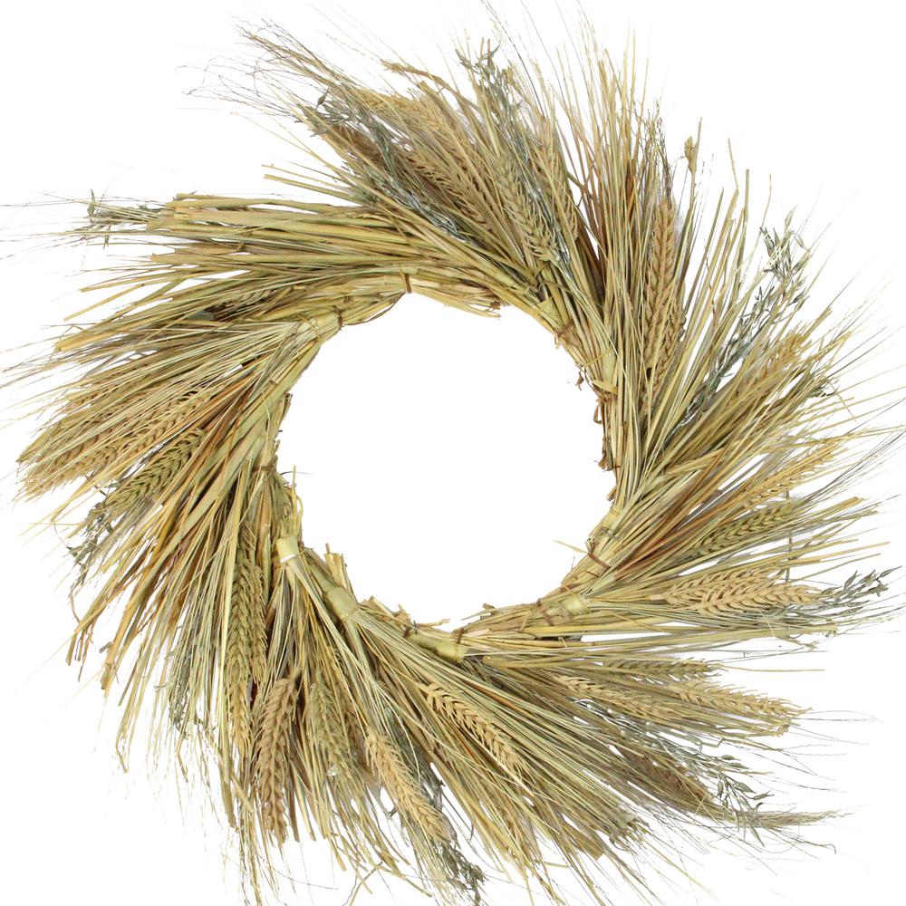 22 in. Unlit Autumn Harvest Wheat Grass and Grapevine Thanksgiving Fall Wreath
