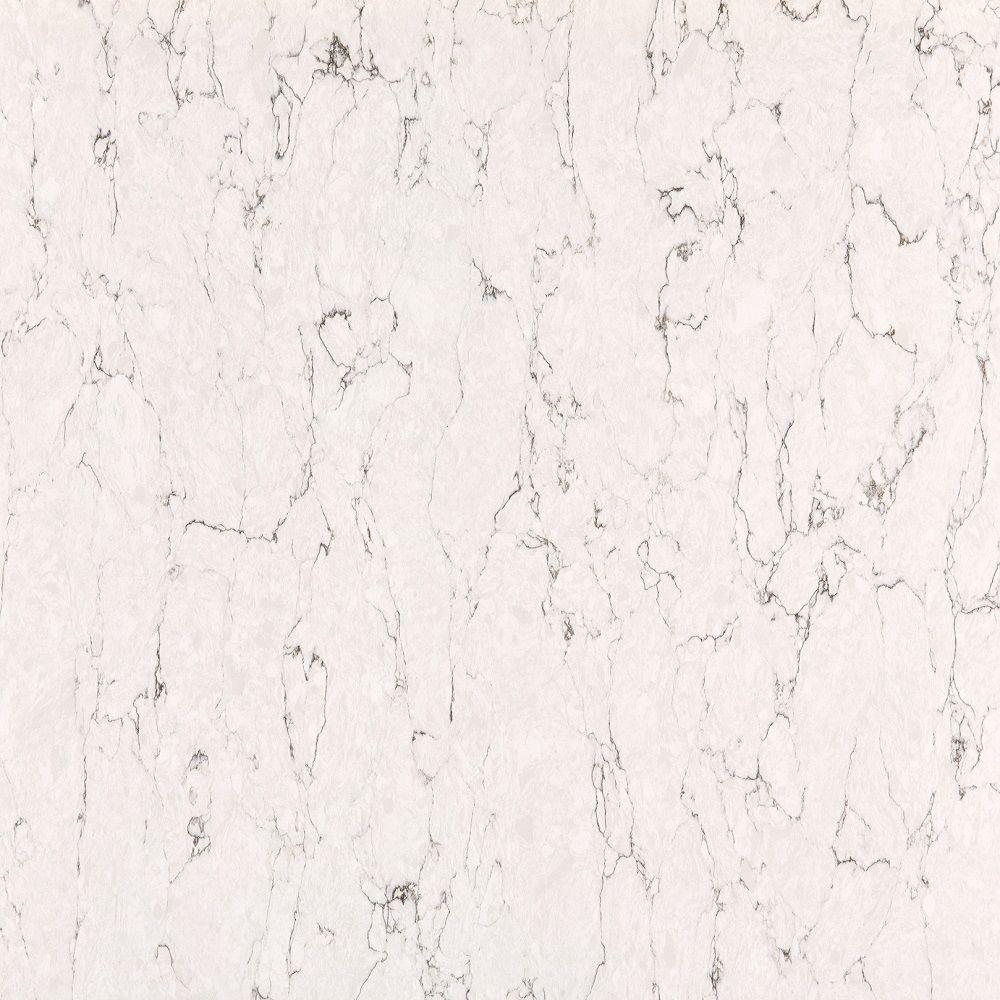 Silestone 2 In X 4 In Quartz Countertop Samples In White