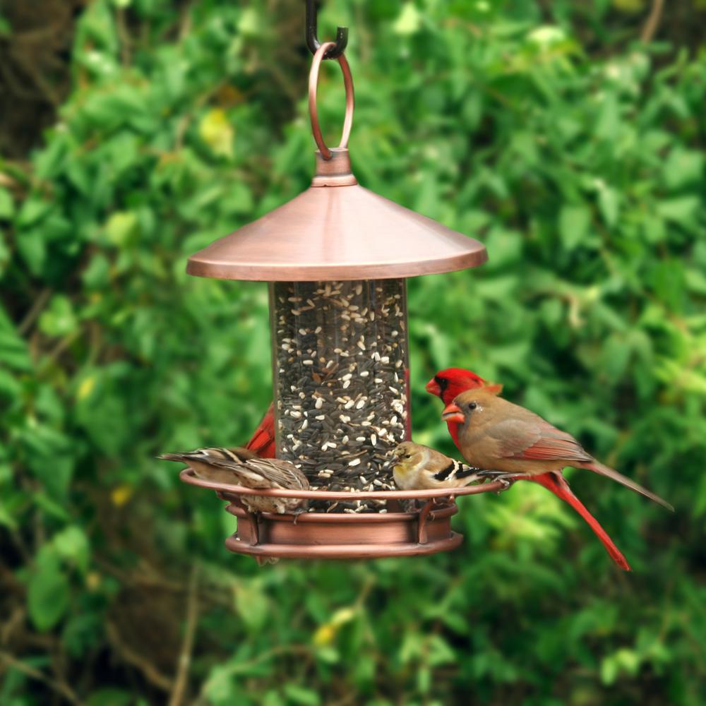 Good Directions Copper Classic Perch Bird Feeder 112vb The Home