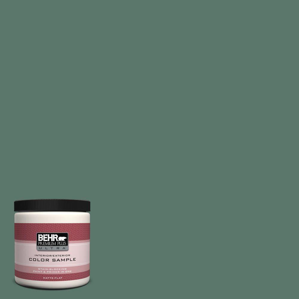 BEHR Premium Plus Ultra 8 oz. S4206 Pine Brook Interior
