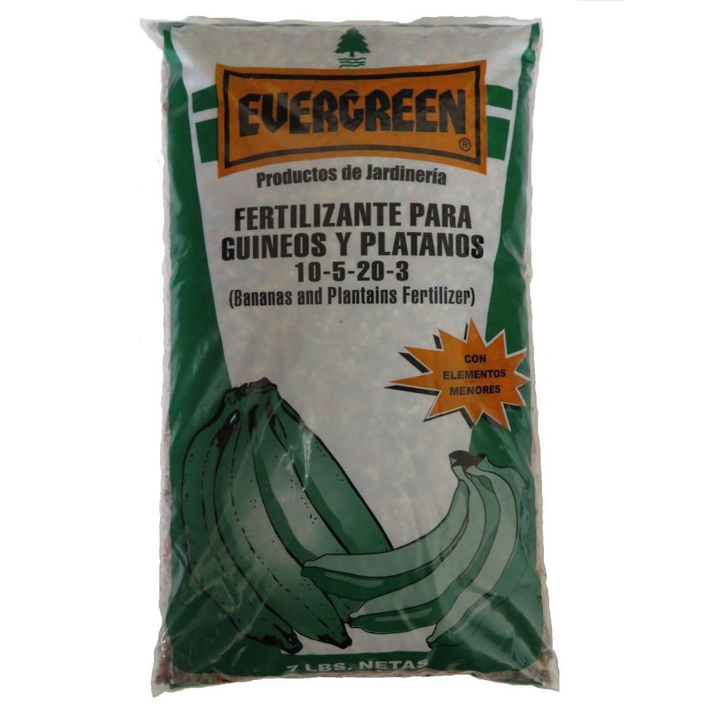 Evergreen Bananas and PlantainsG/P07 The Home Depot