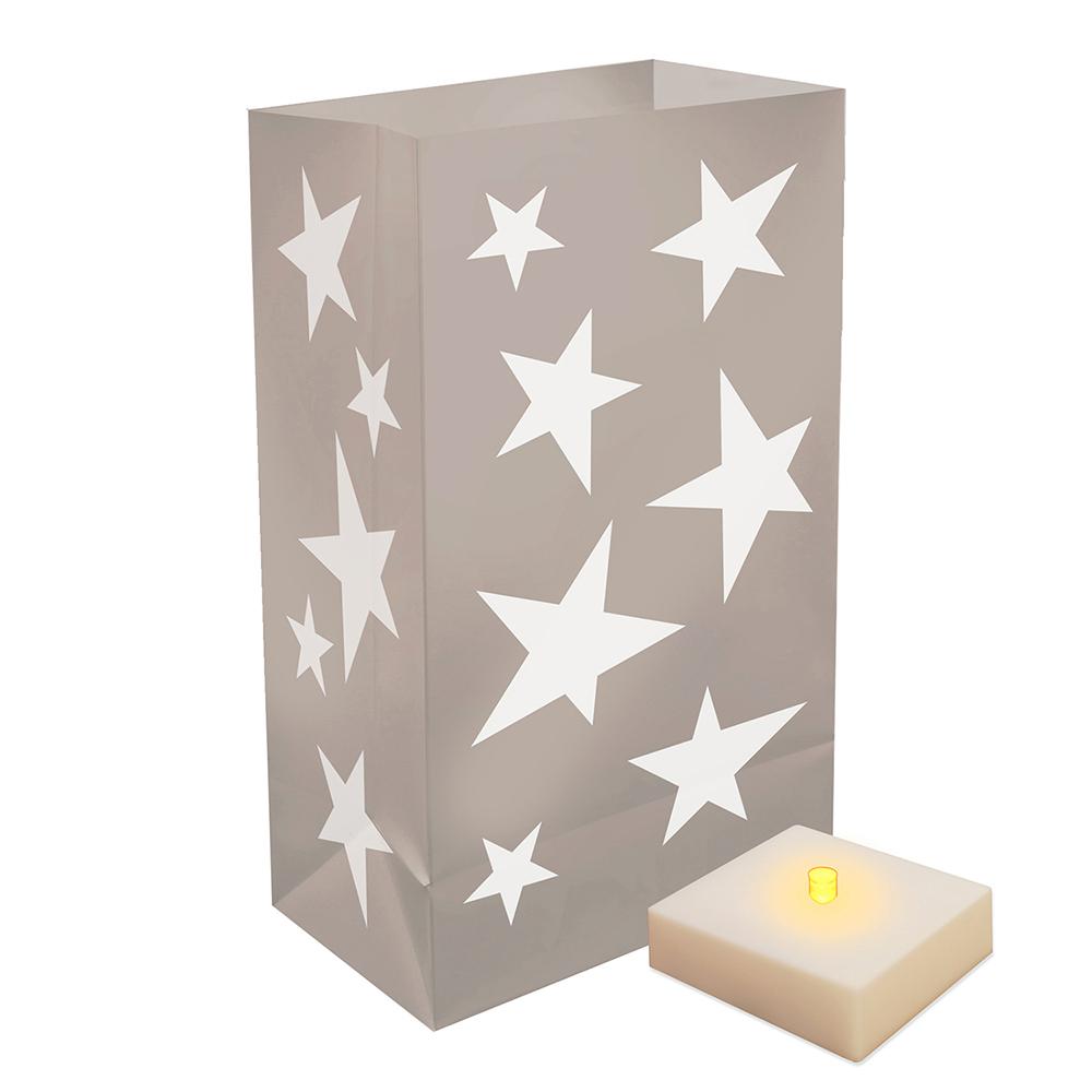 Christmas Path Lights Yard Stakes Outdoor Decorations Battery Operated Luminaria Silver Stars Kit With Timer 6 Count