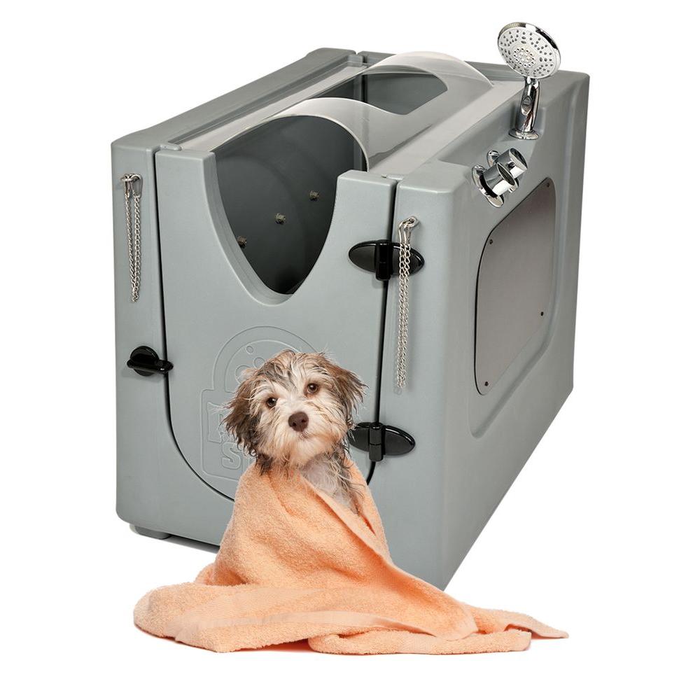 dog spa