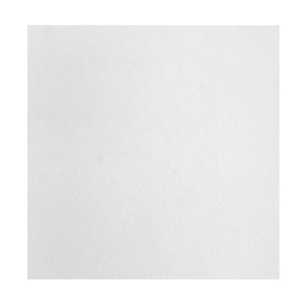 USG Ceilings Custom White Class C 1 ft. x 1 ft. Surface ...