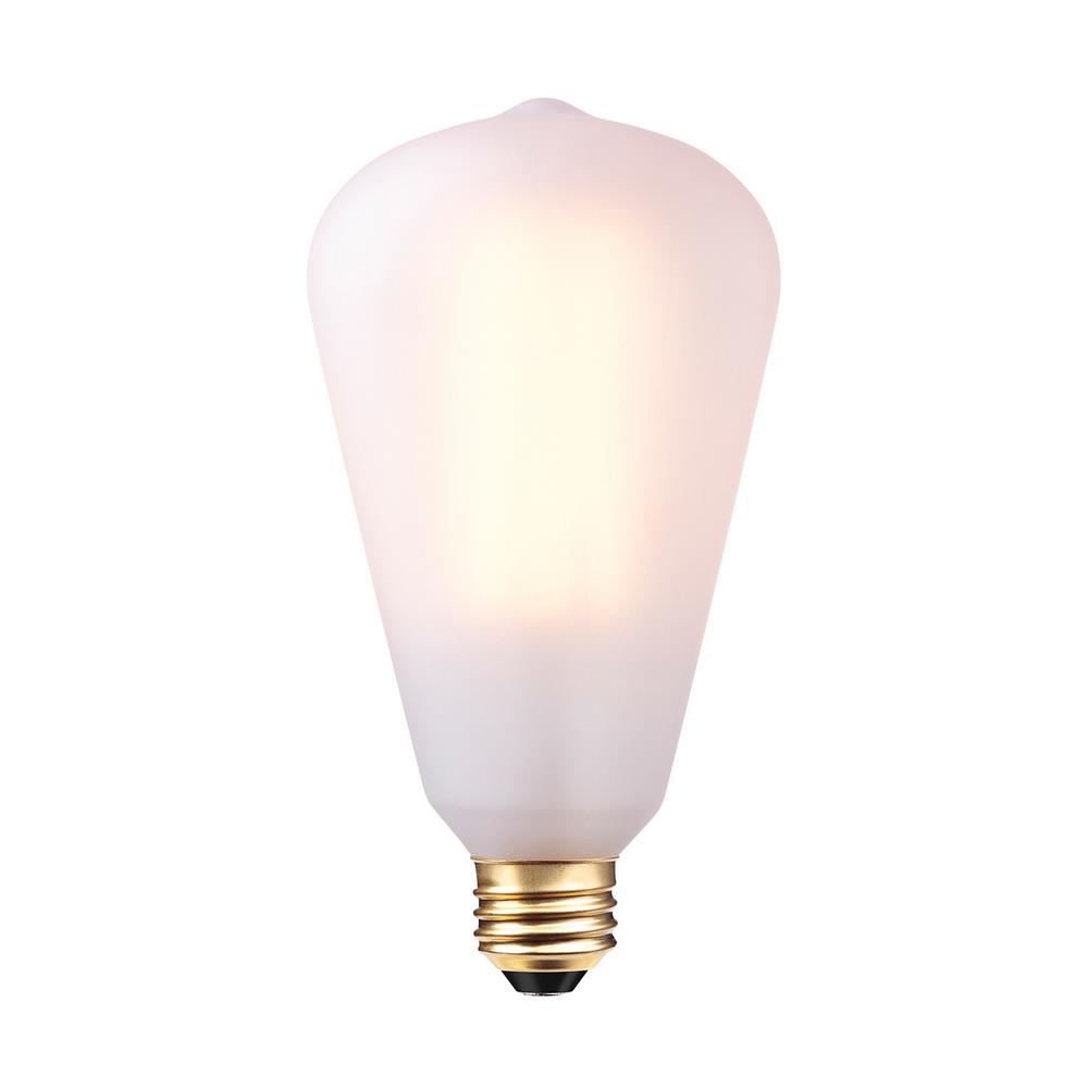 UPC 058219801291 product image for Globe Electric 60-Watt S-Type Vintage Edison Incandescent Light Bulb | upcitemdb.com