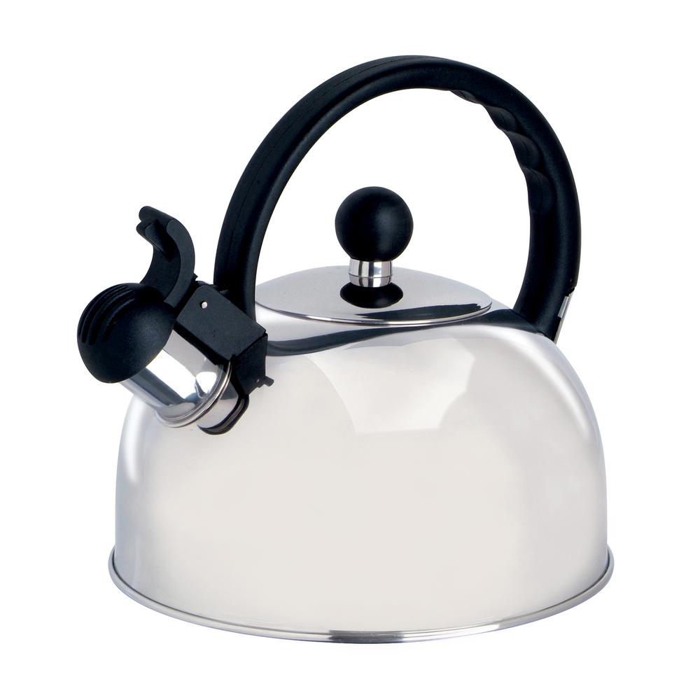 stainless steel tea kettle