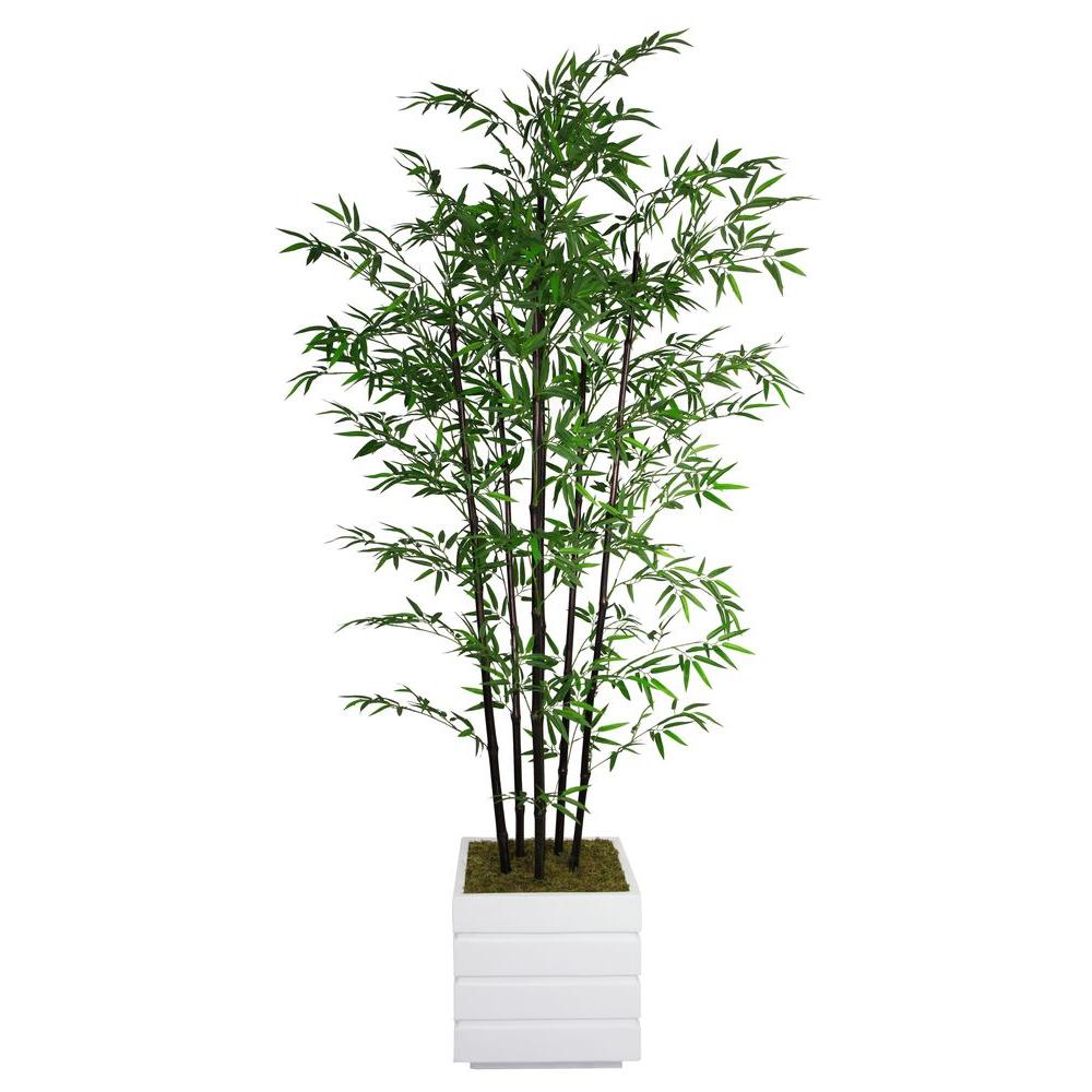 Laura Ashley 78 In Tall Black Bamboo Tree 14 Fiberstone Tall Black Bamboo Tree In 14 Fiberstone Planter Vhx106211 The Home Depot