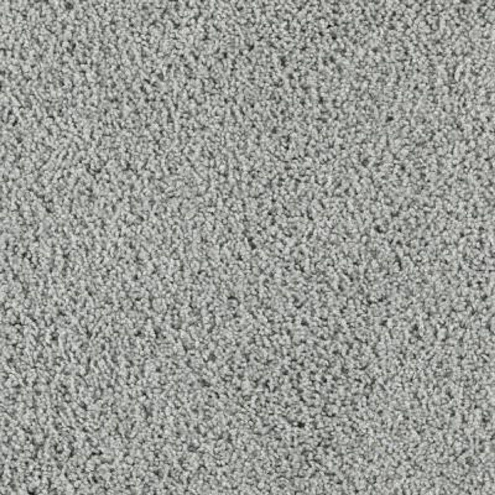 LifeProof Carpet Sample Ashcraft II Color Watercolor Texture 8 in
