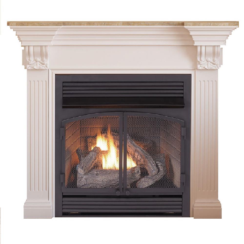 Procom Gas Fireplace Insert Duel Fuel Technology 26 000 Btu