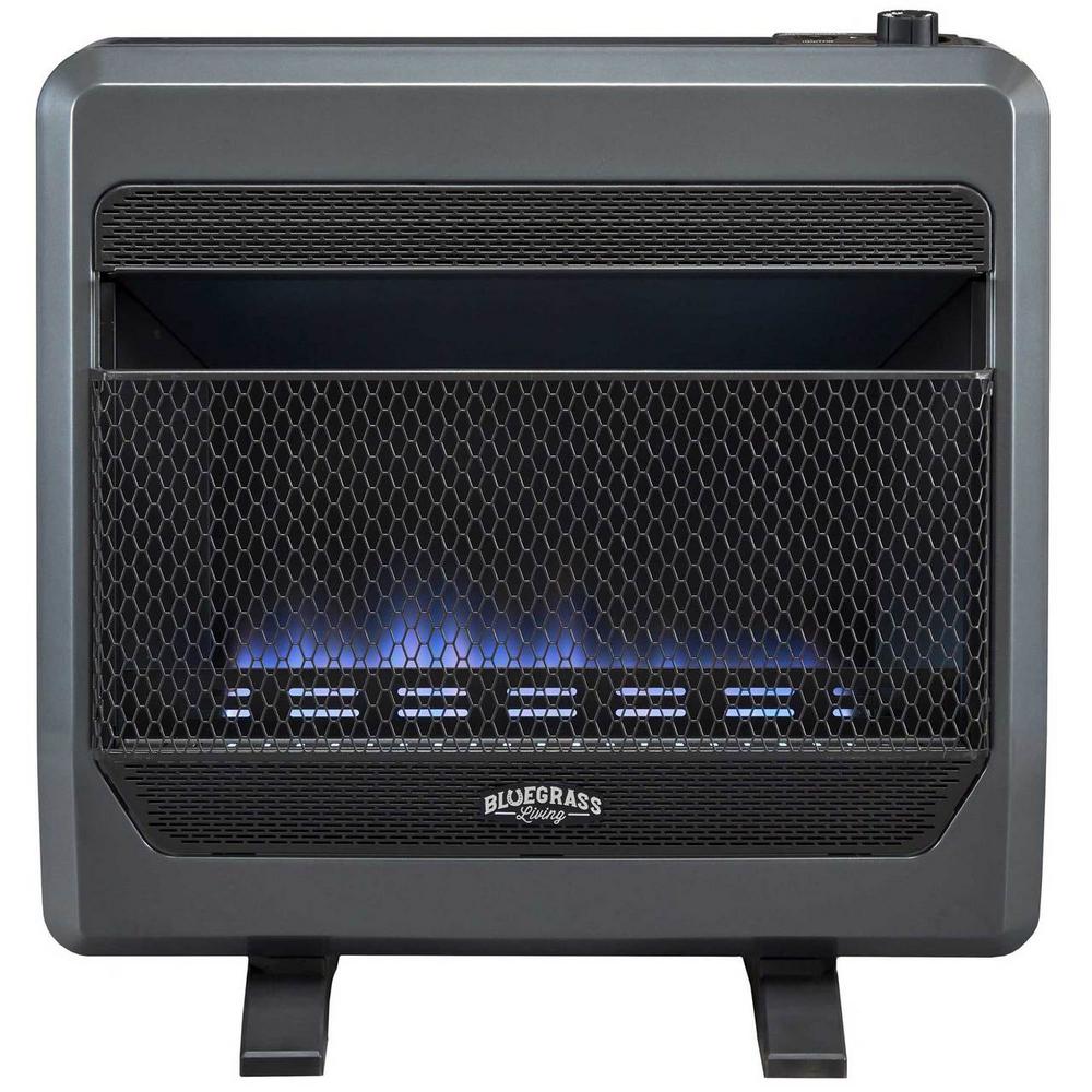 BLUEGRASS LIVING 26 in. 30,000 BTU T-Stat Control Vent Free Natural Gas