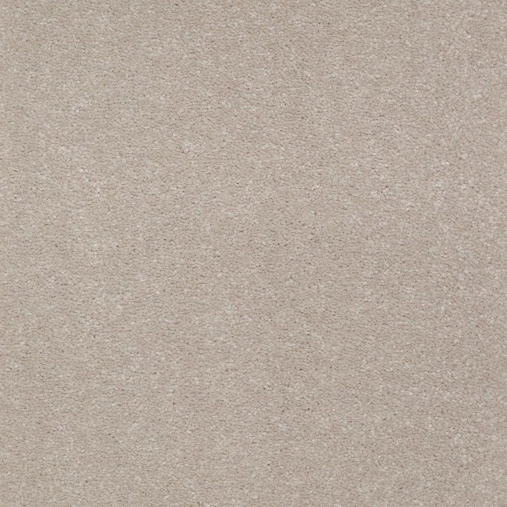 Platinum Plus Enraptured I - Color Canyon Shade 12 ft. Carpet-0172D-59 ...