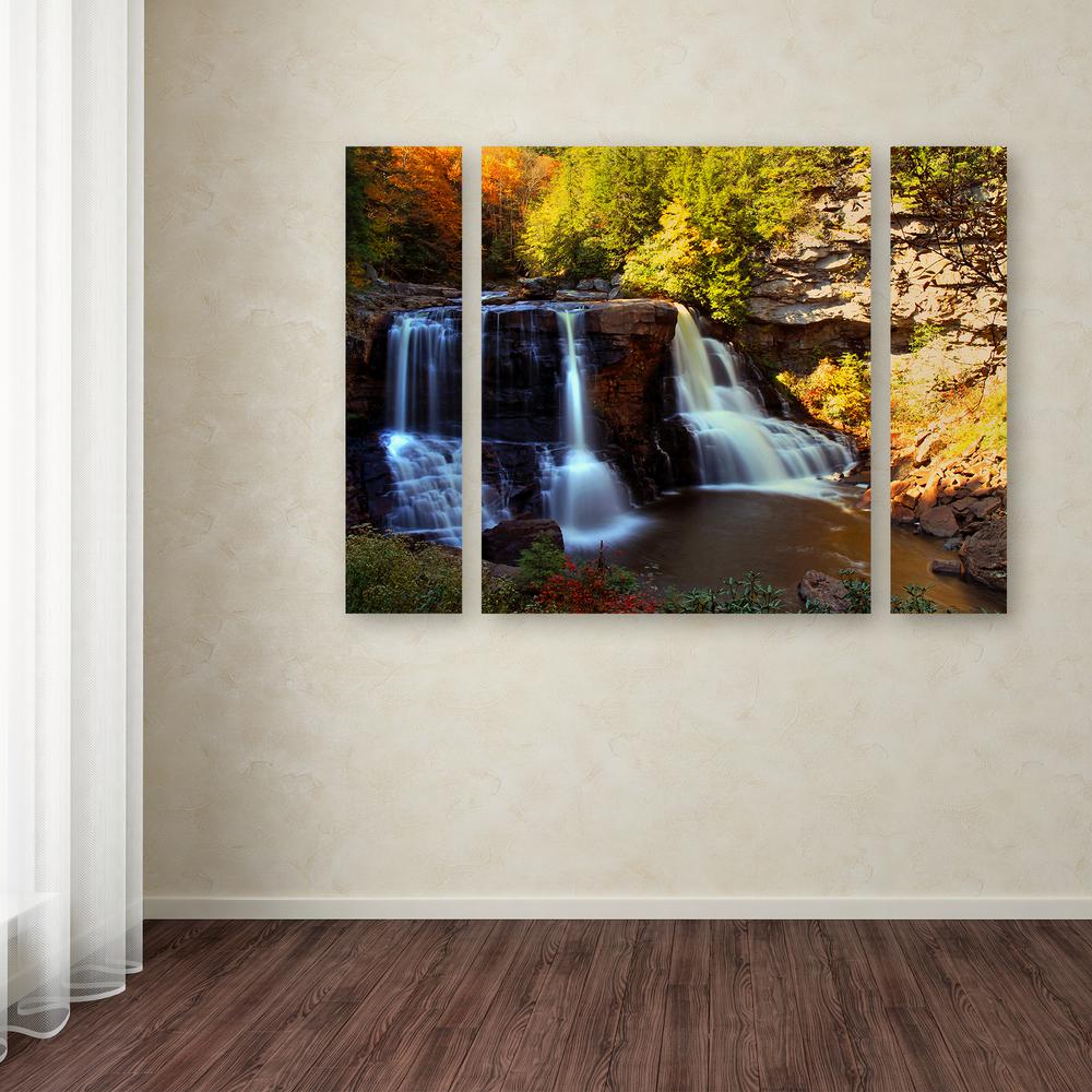 Trademark Fine Art 30 in. x 41 in. "Motion" by CATeyes Printed Canvas