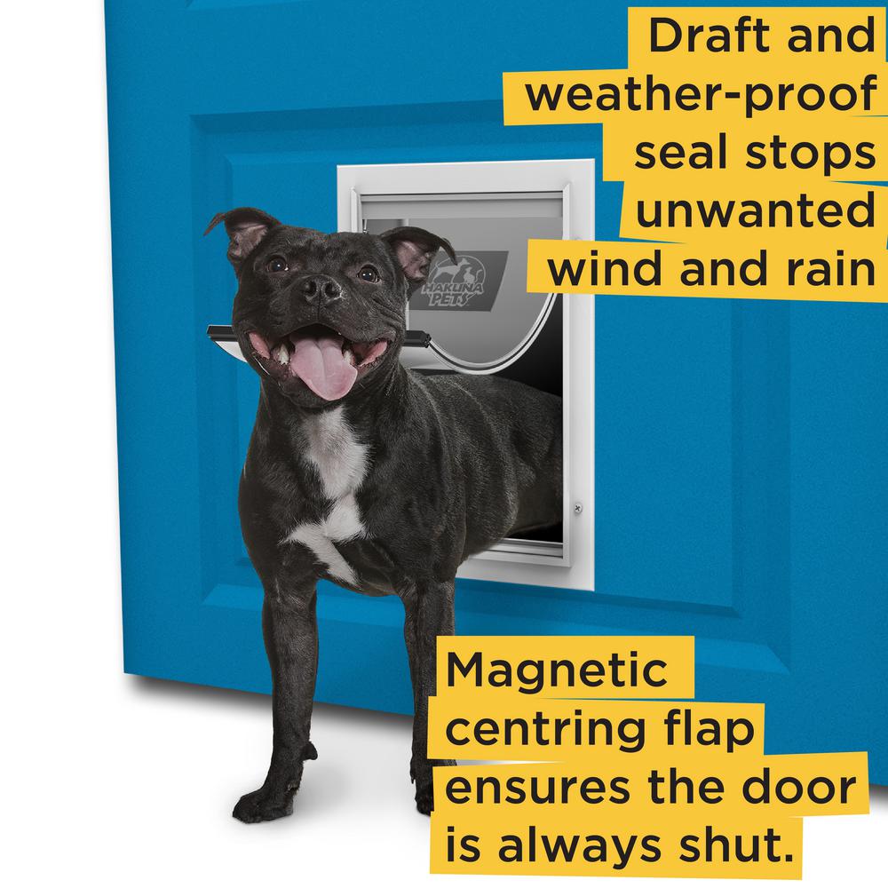 dog door tunnel