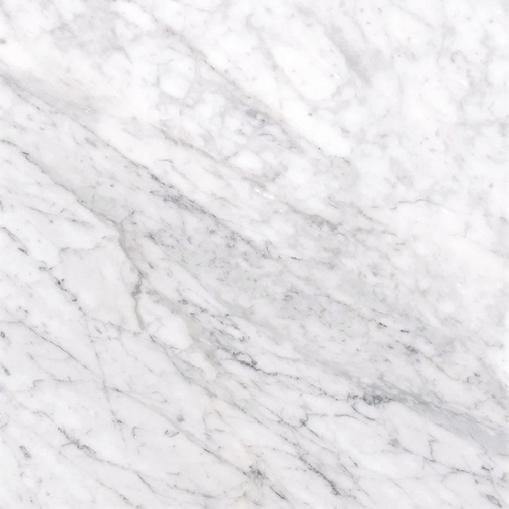 MSI Carrara White 12 in. x 12 in. Polished Marble Floor and Wall Tile