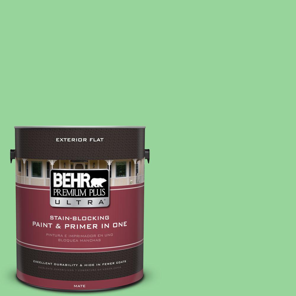BEHR Premium Plus Ultra 5gal. PPU1019 Conifer Green Flat Exterior