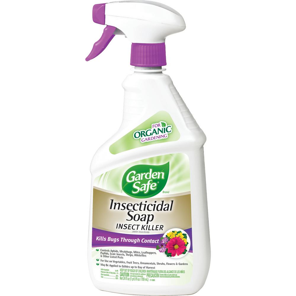 Locusts Grhoppers Plant Garden Insect Control 24