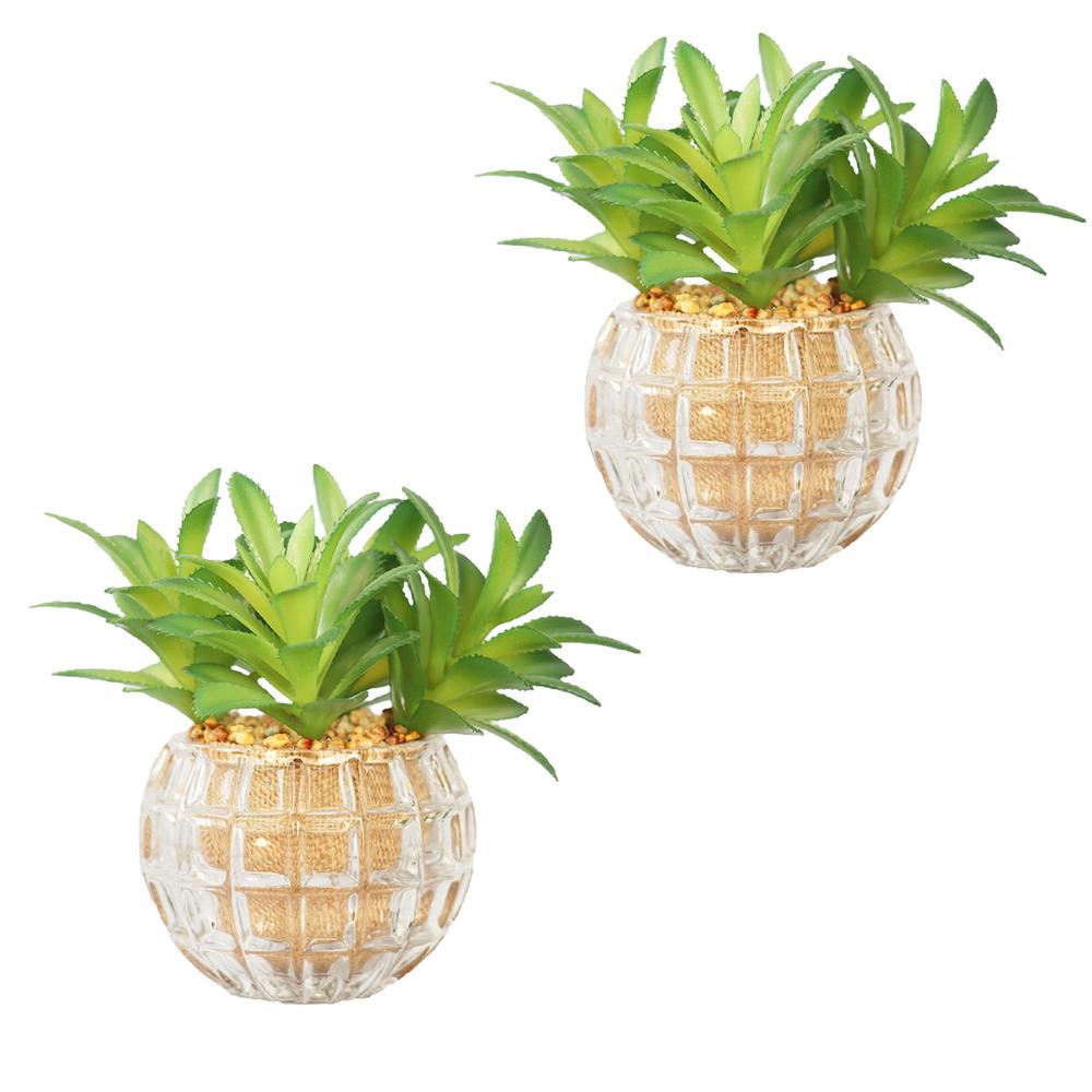 Laura Ashley 7 in. Tall Set of 2 Succulents Artificial Indoor/ Outdoor Faux Dcor in Glass was $53.59 now $28.46 (47.0% off)