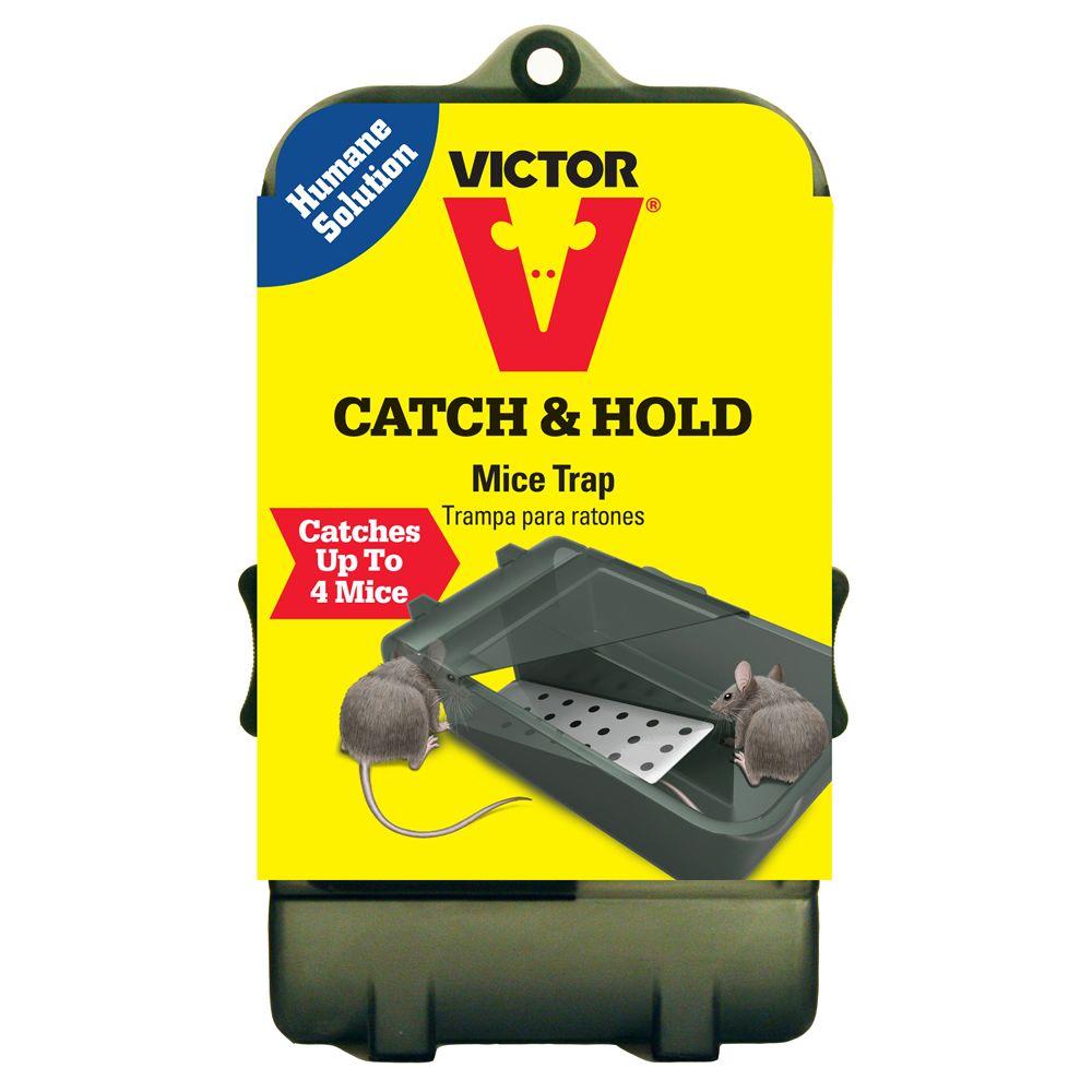 Victor Multi-Catch Live Mouse Trap-M333 - The Home Depot