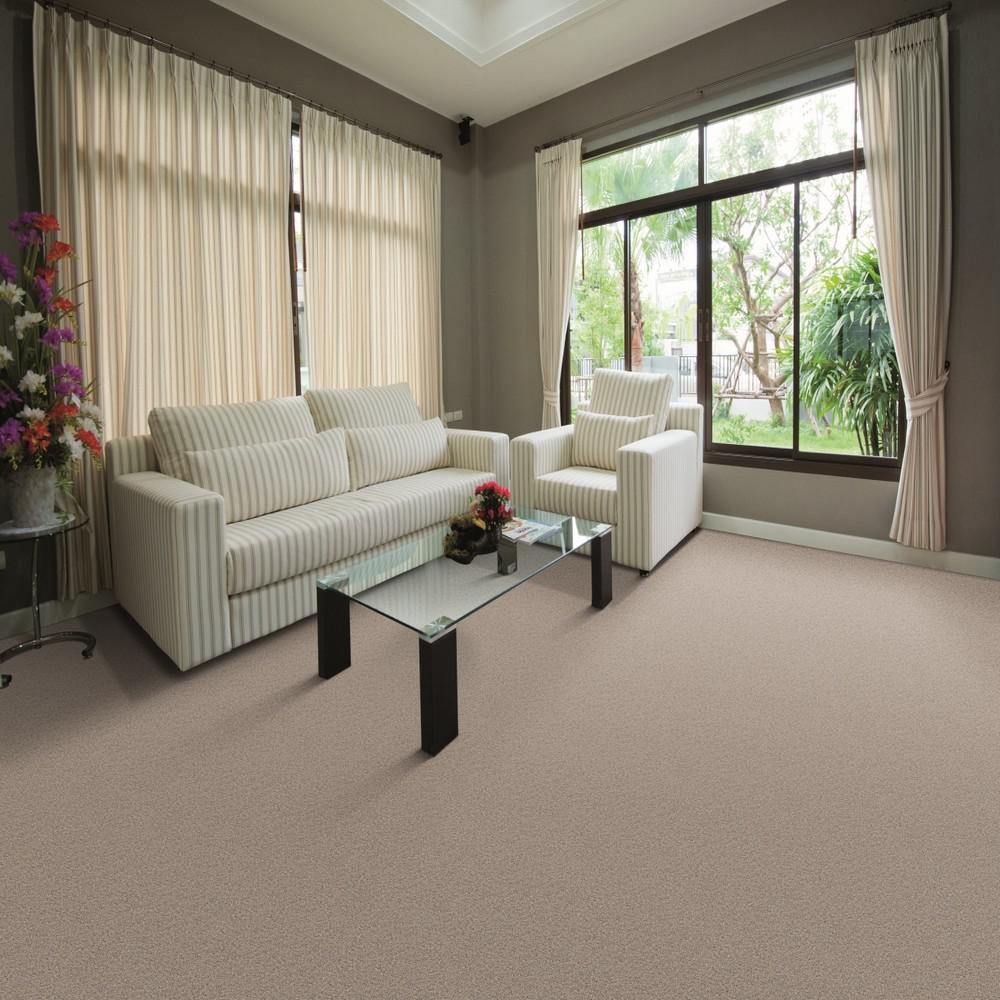 Home Decorators Collection Jack Bay Ii Color Freedom Texture 12