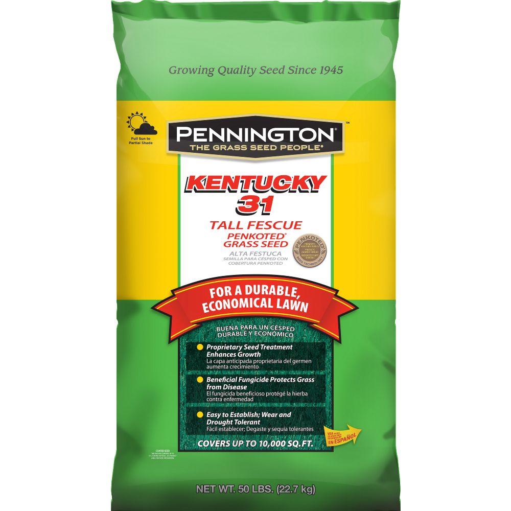 Pennington Kentucky 31 50 lb. Tall Fescue Penkoted Grass Seed-100516056 ...