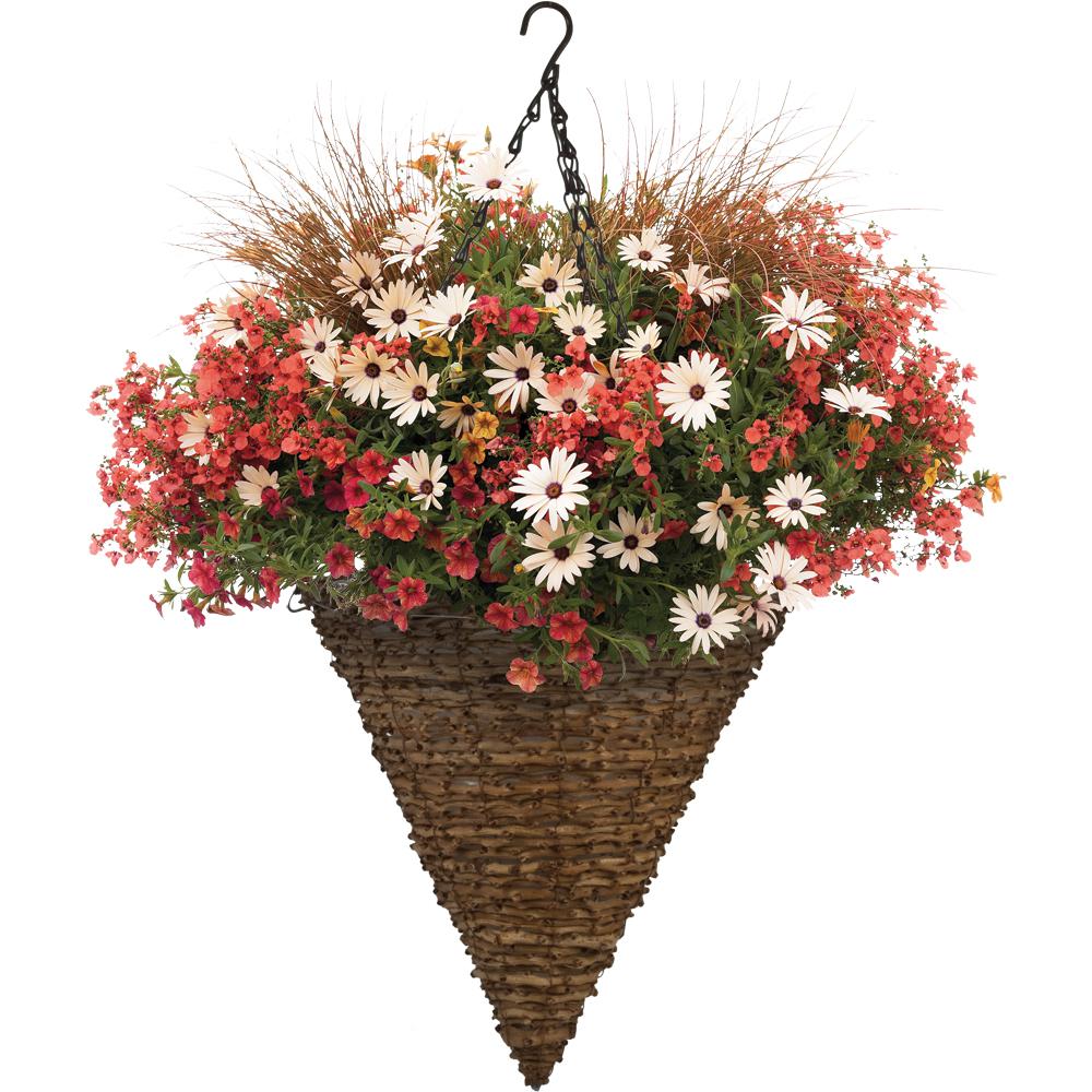 Rope & Fern Quantity Panacea 88636 Hanging Flower Basket 12In Cone Shape