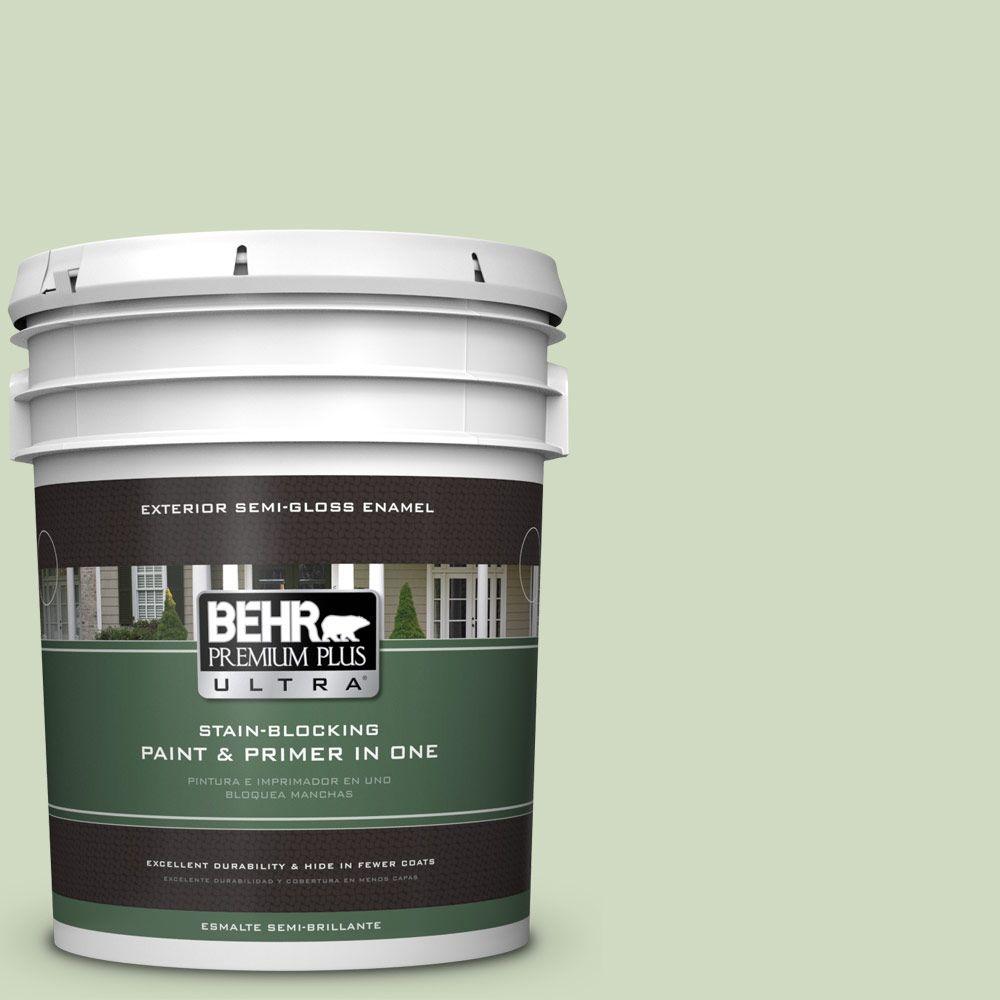BEHR Premium Plus Ultra 5gal. M3802 Glade Green Semi