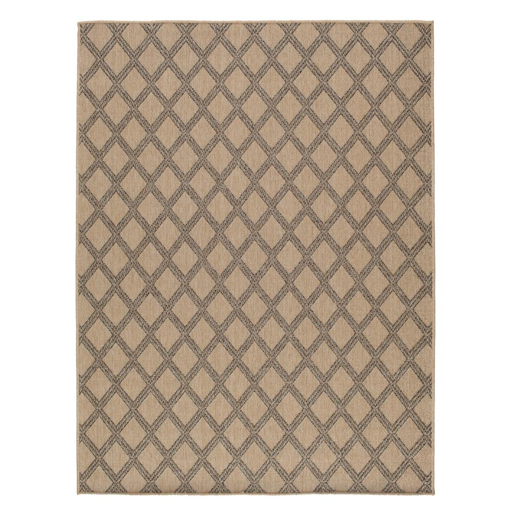 8 X 10 Outdoor Rugs Rugs The Home Depot