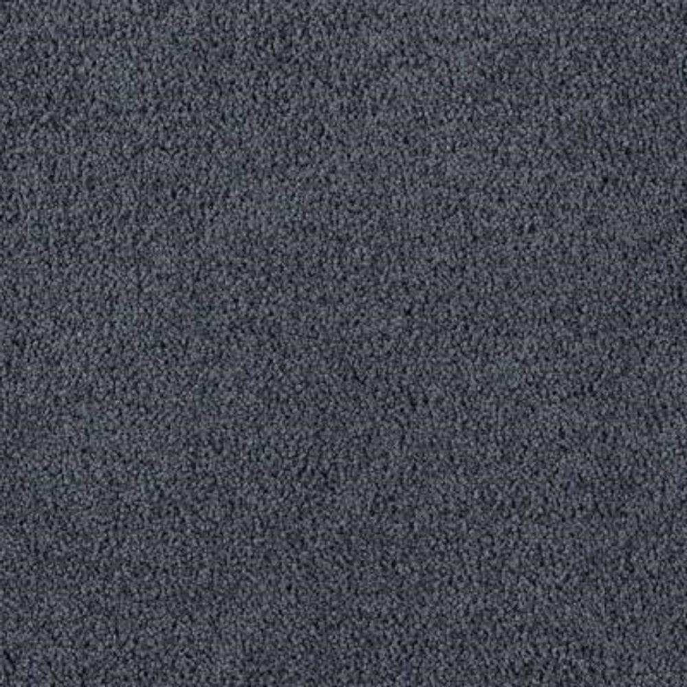 LifeProof Carpet Sample - Wesleyan II - Color Night Shadow Texture 8 in ...