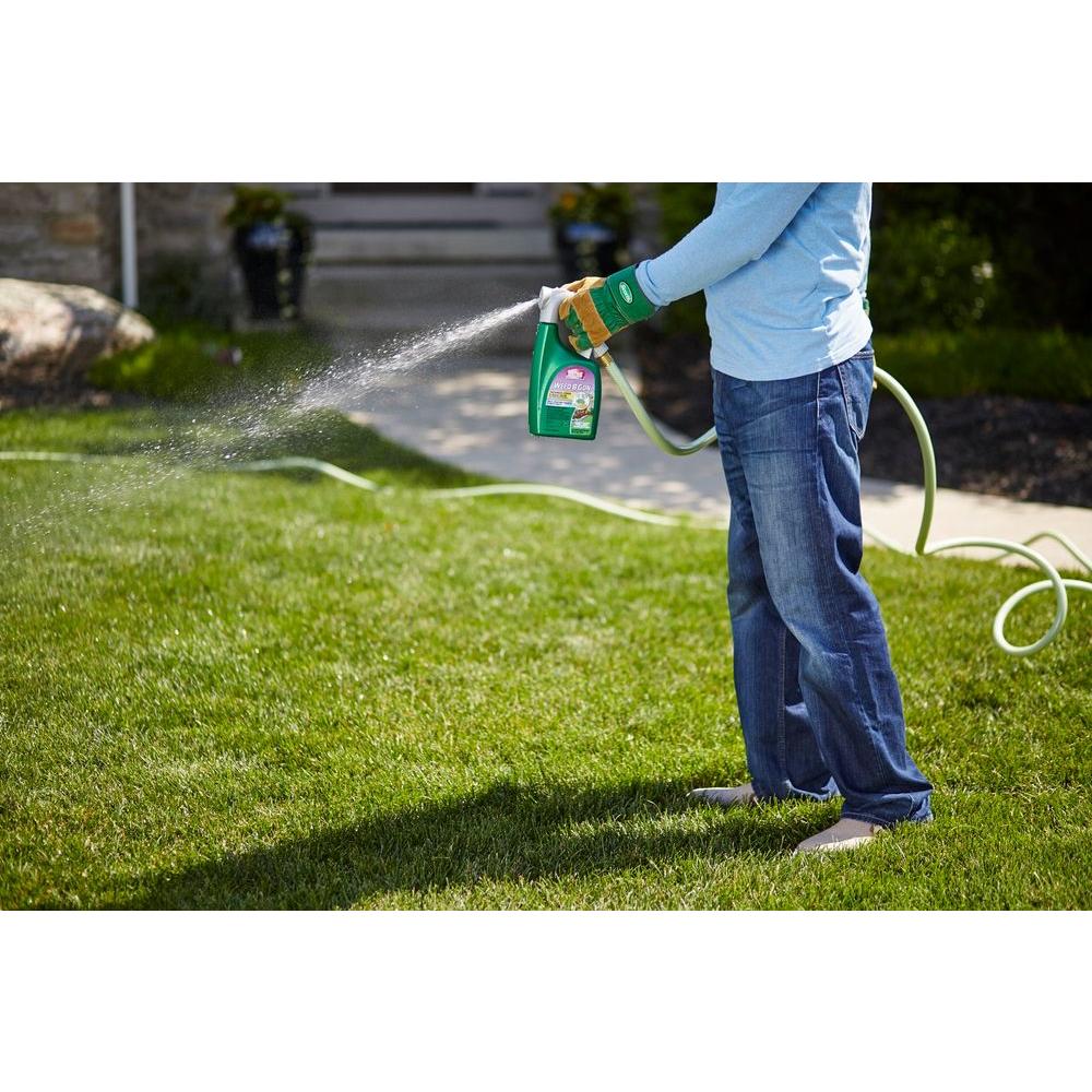 Weed B Gon 32 oz. Chickweed Clover Oxalis Killer Lawns Ready To Spray