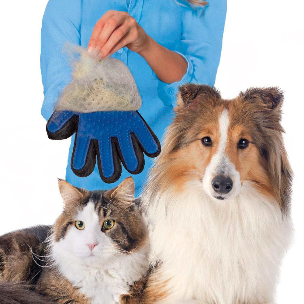 dog brush mitt