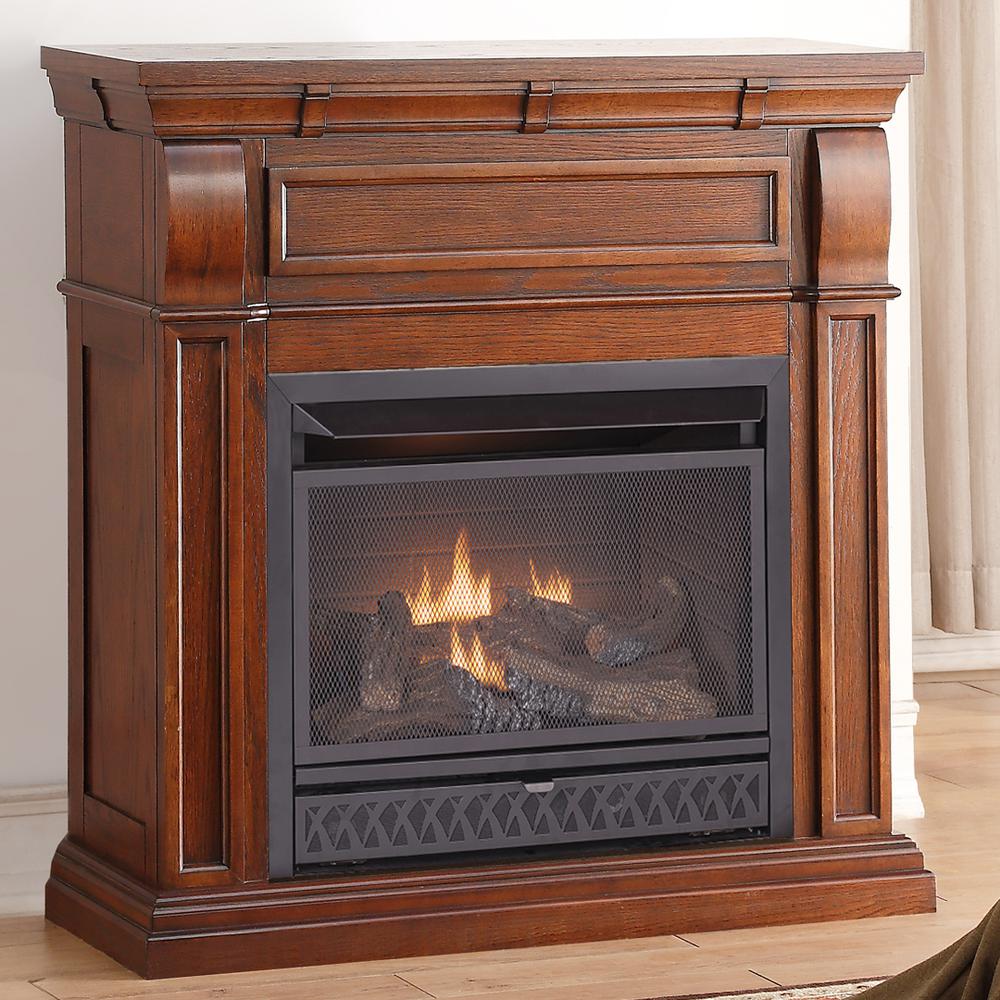 ProCom 42 in. Ventless Dual Fuel Gas Fireplace in Chestnut ...