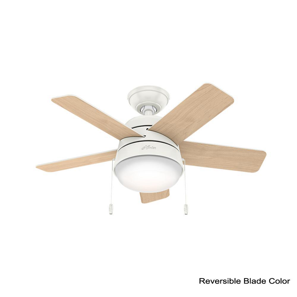 Hunter Tarrant 36 In Led Indoor Fresh White Ceiling Fan With