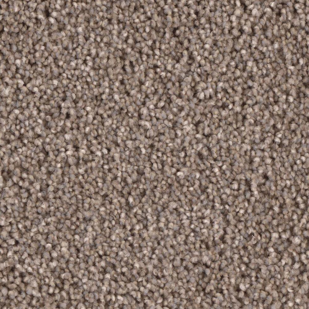  Home Decorators Collection Carpet  Sample Oversteer II 