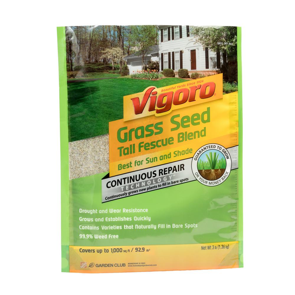 Water Saver 10 lb. Tall Fescue Grass Seed-11110 - The Home Depot