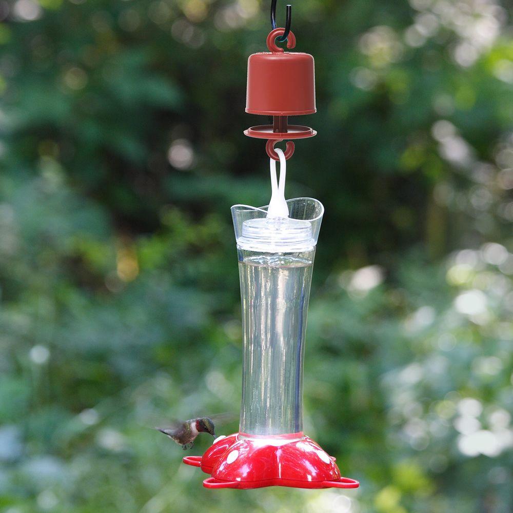 perky pet hummingbird feeder dishwasher safe