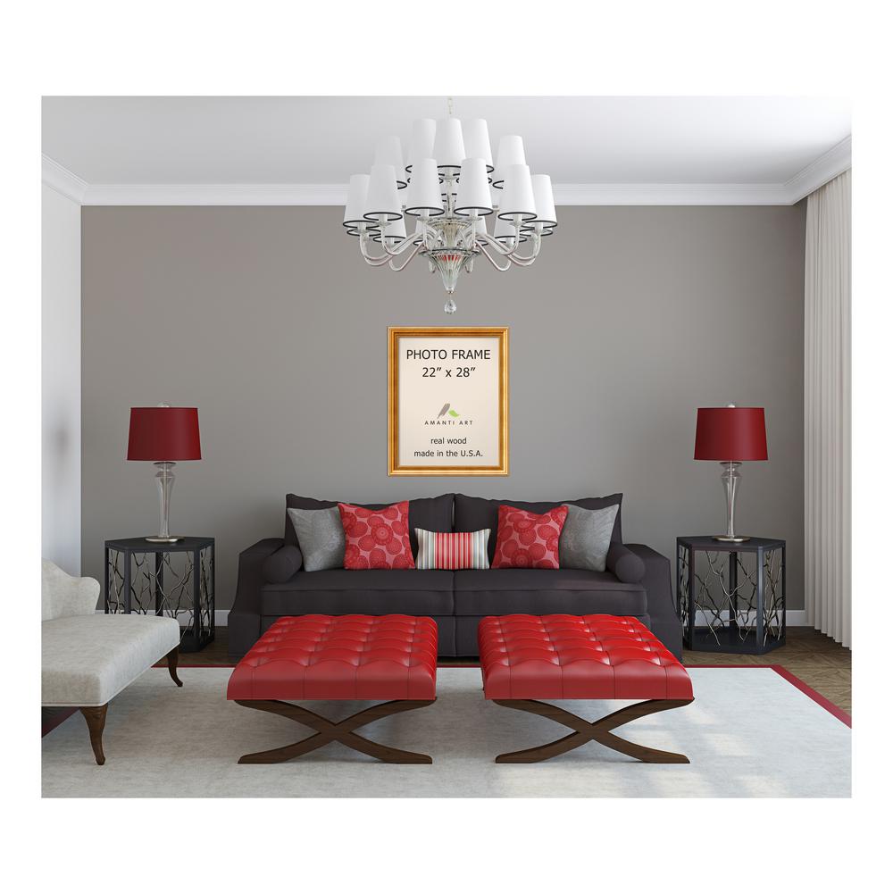 Amanti Art Townhouse 22 In X 28 Gold Picture Frame Dsw1385309 Amanti Art Townhouse 22 In X 28 Gold Picture Frame