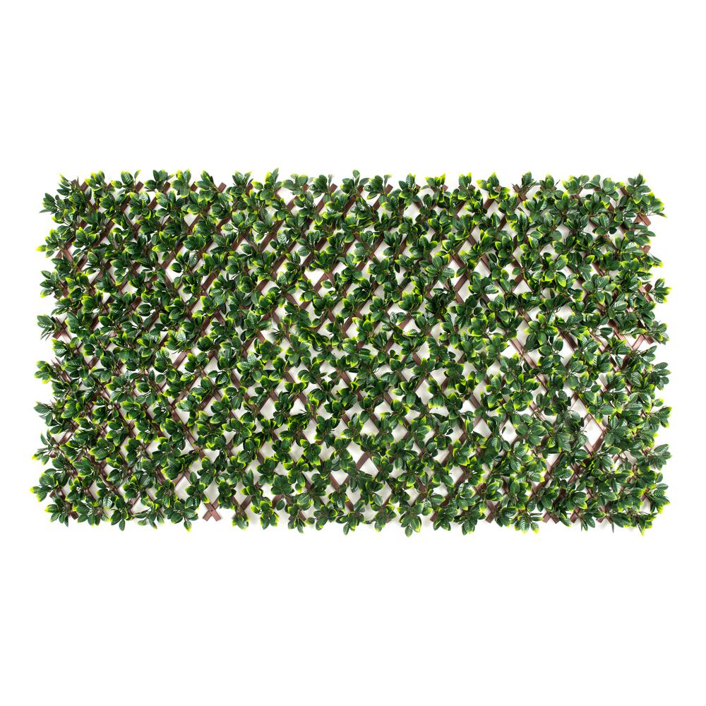Privahedge Expandable Brown PVC Trellis with Gardenia Leaf TRP3672BR4000 The Home Depot
