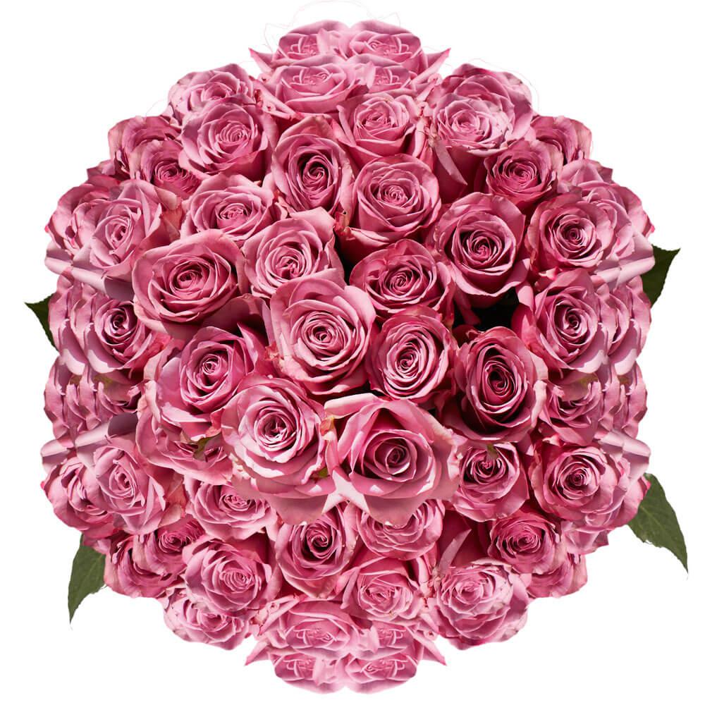 Globalrose Lavender Cool Water Roses- Fresh Flower ...