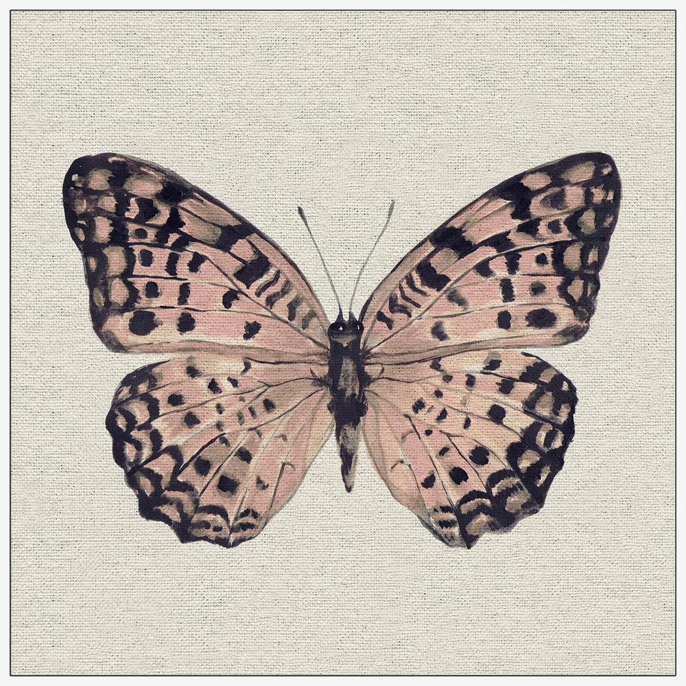 In H X In W Pink And Black Butterfly Ii By Marmont Hill Framed Canvas Wall Art Jnscwfdl The Home Depot