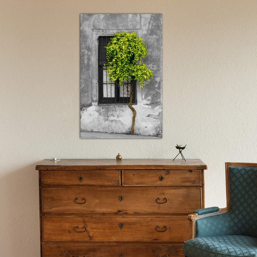 Icanvas Tree In Front Of Window Green Pop Color Pop By Panoramic