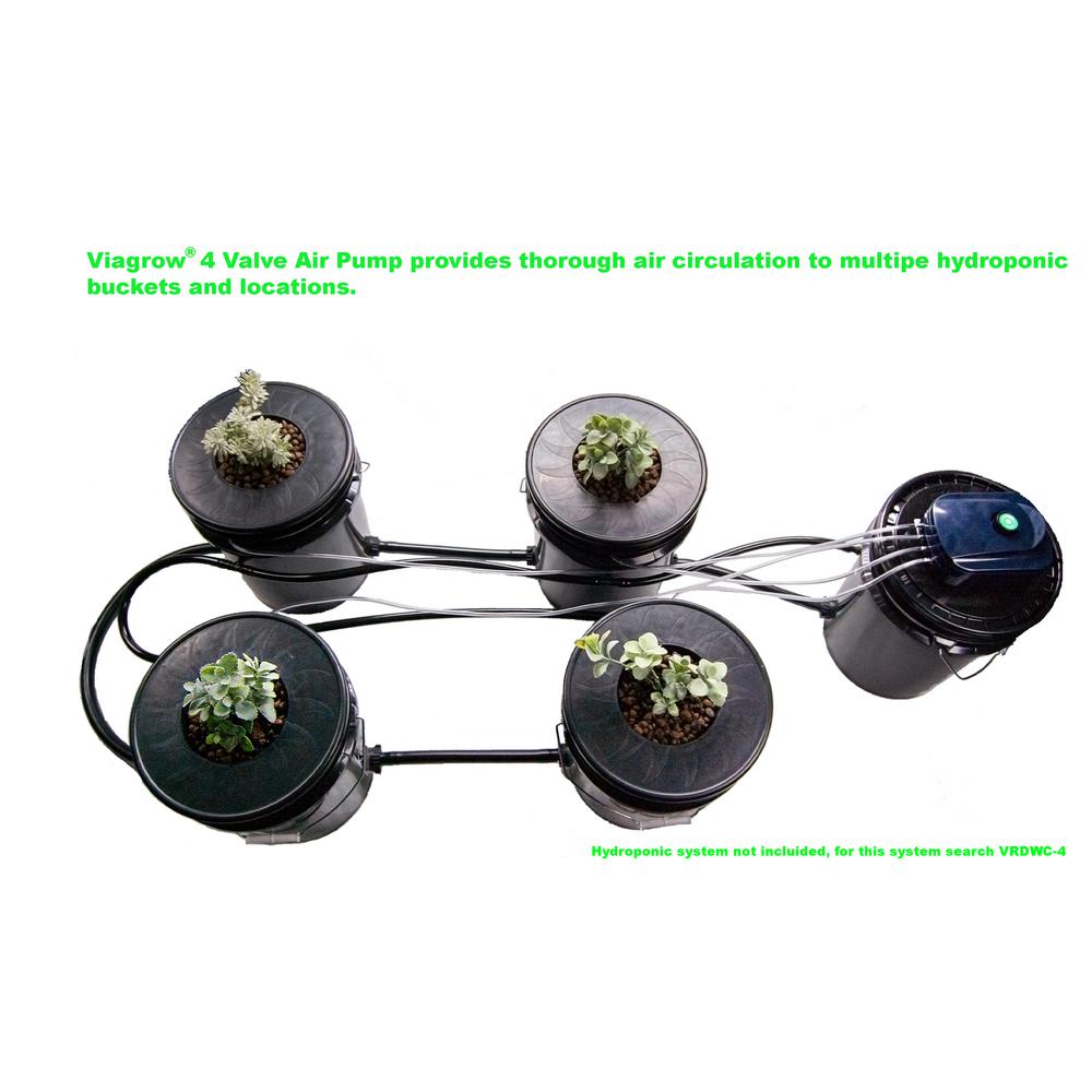 airstone and pump