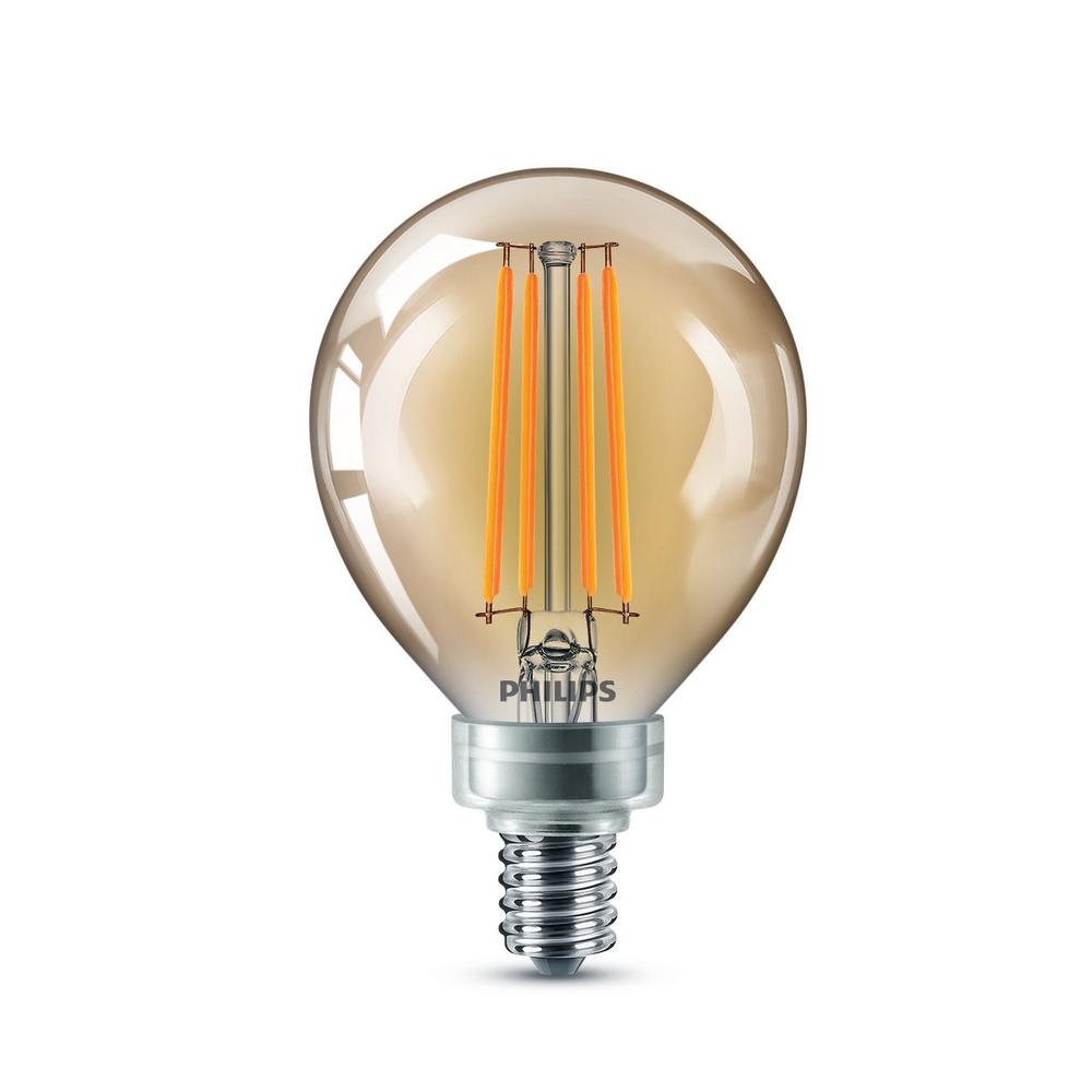 Philips 40 Watt Equivalent Vintage Amber Glass Dimmable G165 Led Light Bulb 537597 The Home Depot 