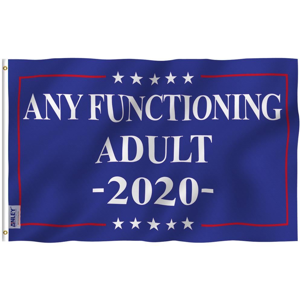 Anley Fly Breeze 3 Ft X 5 Ft Polyester Functioning Adult 2020 2