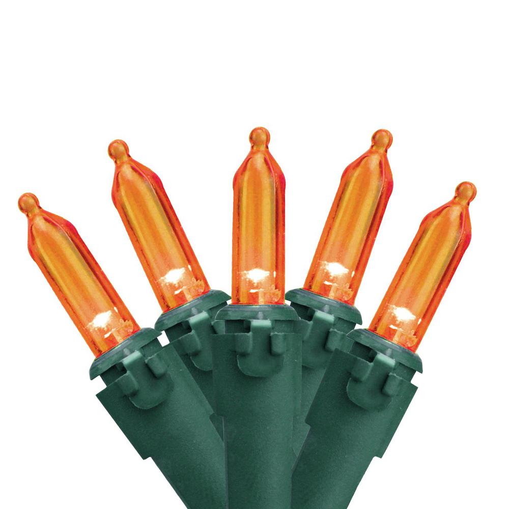 Northlight Set of 50 Orange LED Mini Christmas Lights with Green Wire