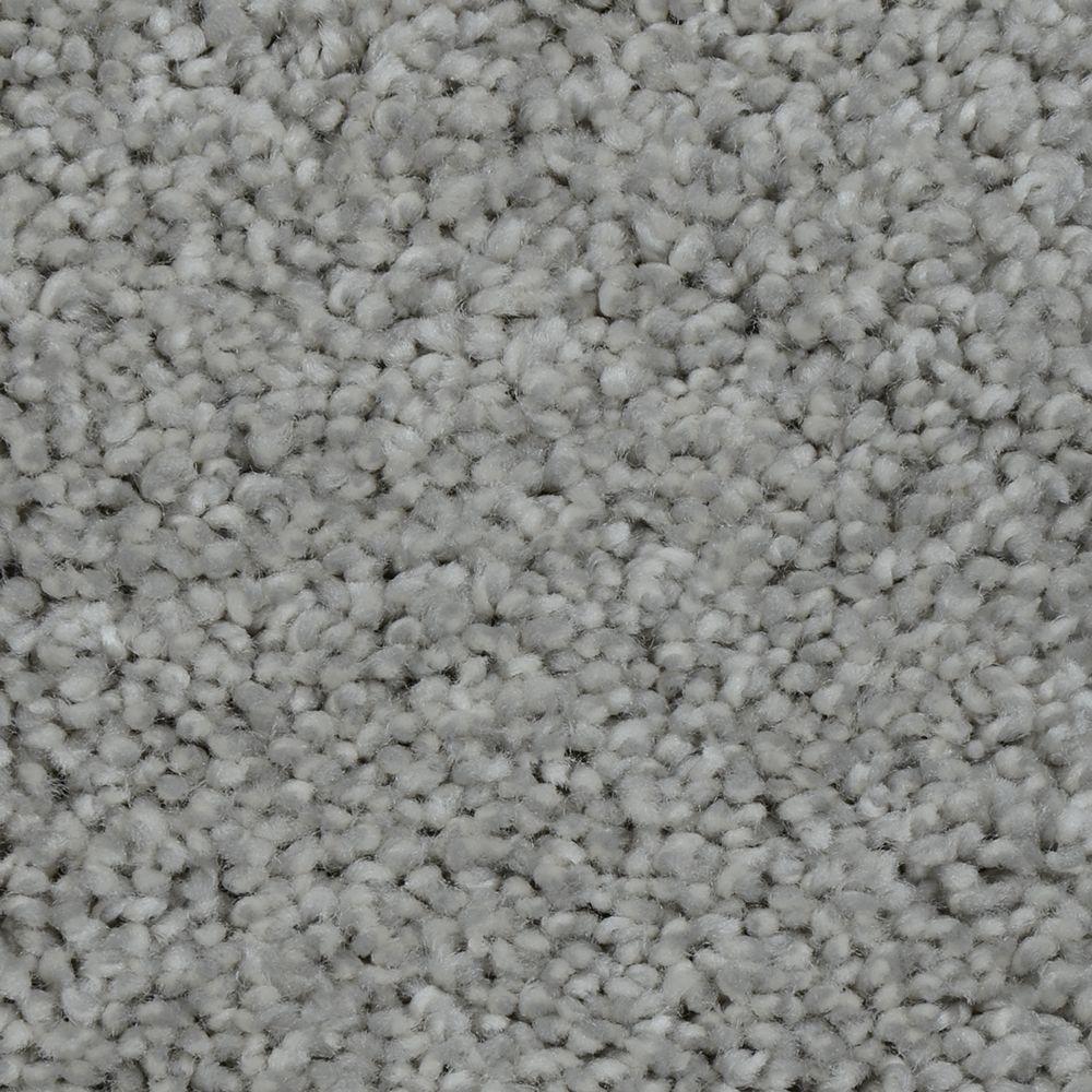 Home Decorators Collection Powder Springs III Color Durham Twist 12 ft. CarpetH502525161200
