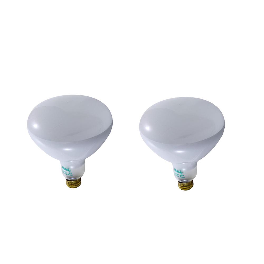 Halco R40FL300-12V 300W 12V Flood Lamp – Replacement Bulb For Pool & Landscape Lighting