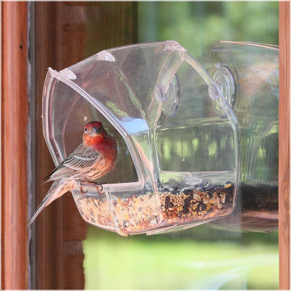 Perky Pet Clear Window Feeder