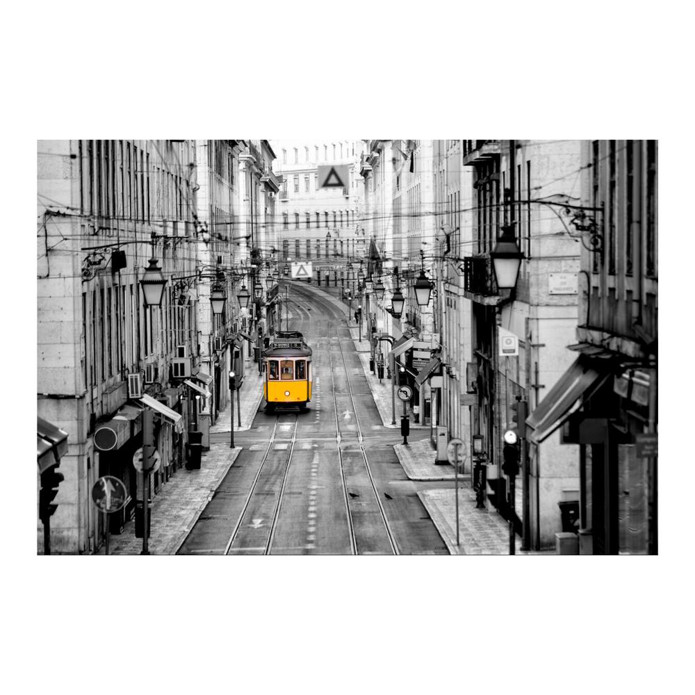 Yosemite Home Decor 47 In X 32 Balance Tempered Glass Wall