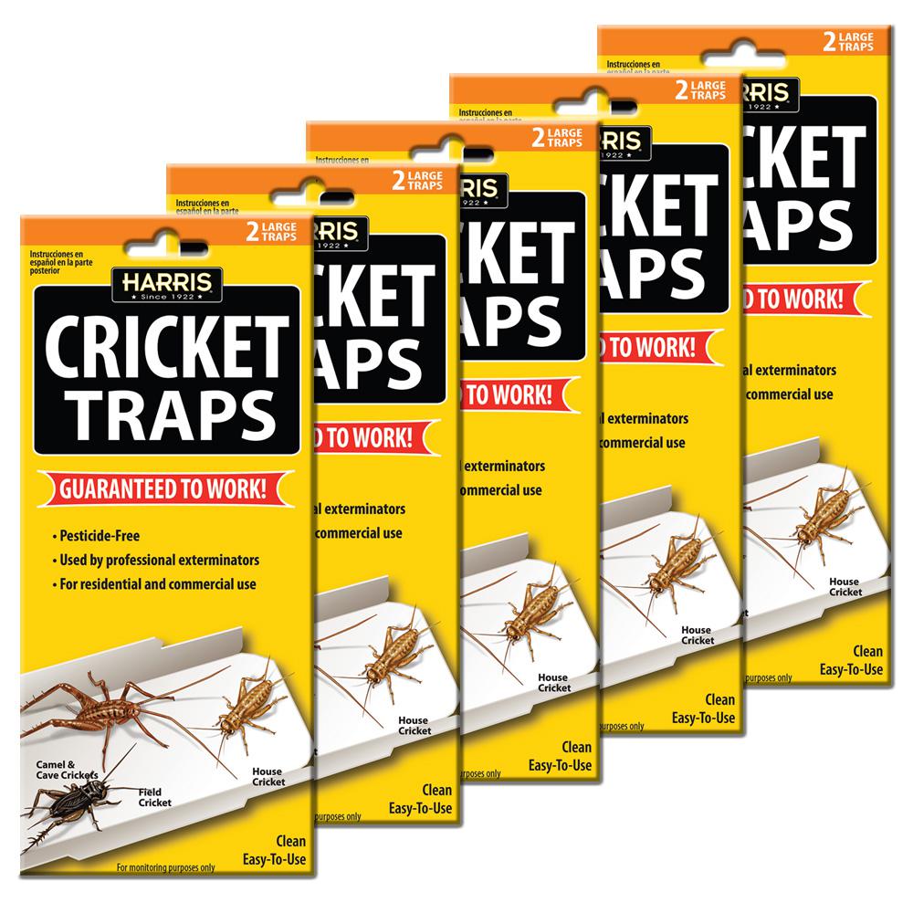 Crickets Insect Traps Insect Control The Home Depot