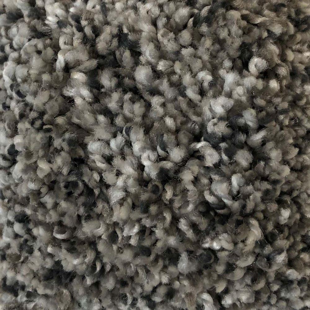 Hypoallergenic Carpet Shoo Carpet Vidalondon